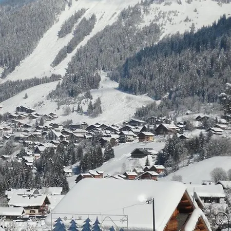 Luxueux 5 Pieces Pour 10 Pers. Avec Sauna, Terrasse, Proche Des Pistes Et Navettes - Fr-1-676-22 Chatel